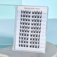 Load image into Gallery viewer, Dollylashes Lunar Eclipse Series Squirrel Type 80Pcs