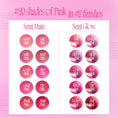 Load image into Gallery viewer, Fwee Pink Obsession Stay-Fit Lip Tint 3.8g