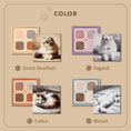 Load image into Gallery viewer, Millefee My Kitty Eyeshadow Palette
