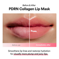 Load image into Gallery viewer, Abib PDRN Collagen Lip Mask Glazed Jelly