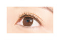 Load image into Gallery viewer, Dup Airy Curl Lash 06 Long