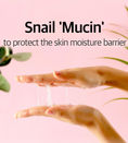 Load image into Gallery viewer, Some By Mi Snail Truecica Miracle Repair Low ph Gel Cleanser 100ml