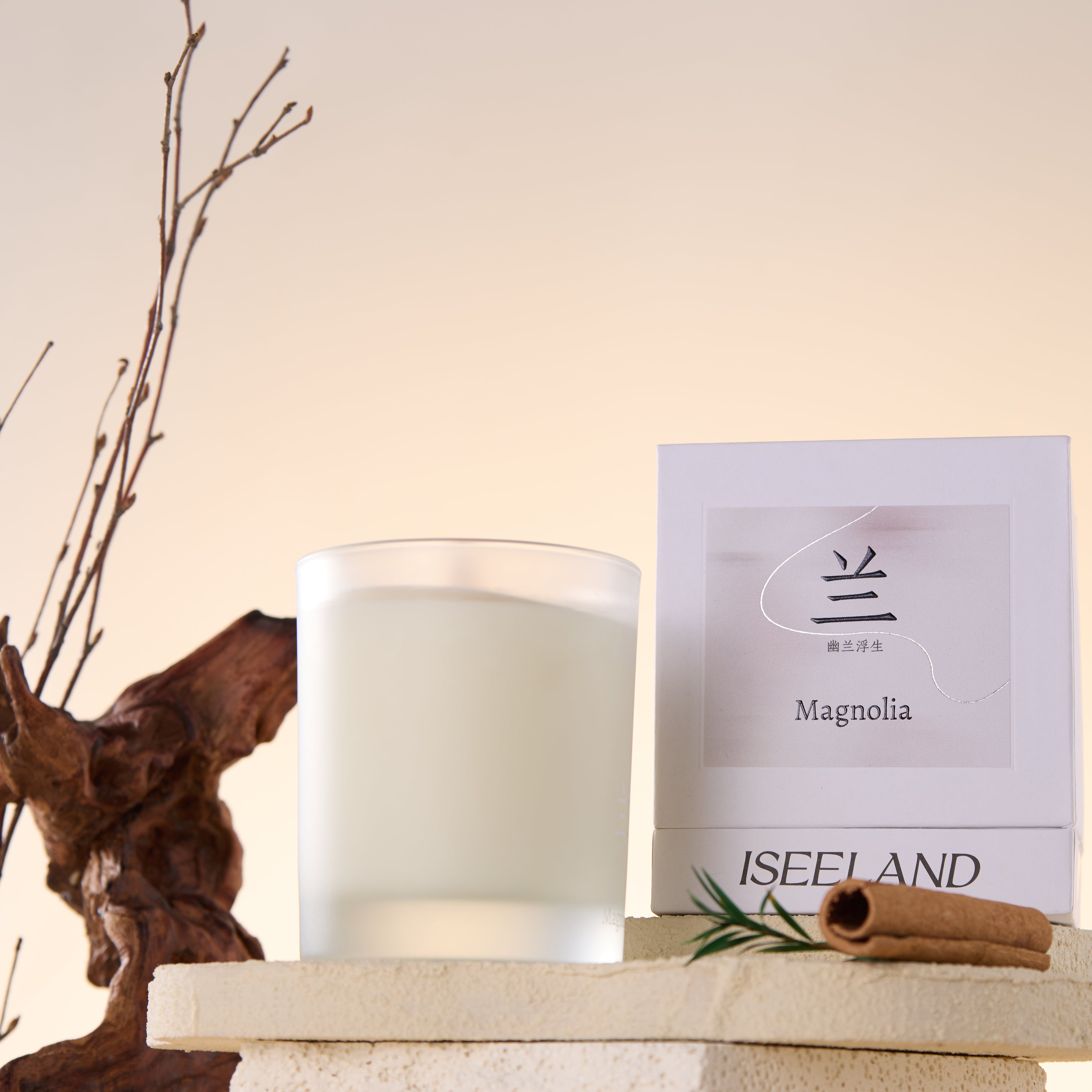ISeeLand Flameless Aromatherapy Candles