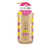Ichikami Damage Repaire & Color Hair Care