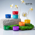 Load image into Gallery viewer, Citta Bloom Of Scent Summer Factor Storms Diffuser Set
