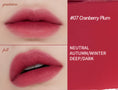 Load image into Gallery viewer, Etude House Fixing Tint 4g
