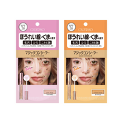 Calypso Magic Concealer E