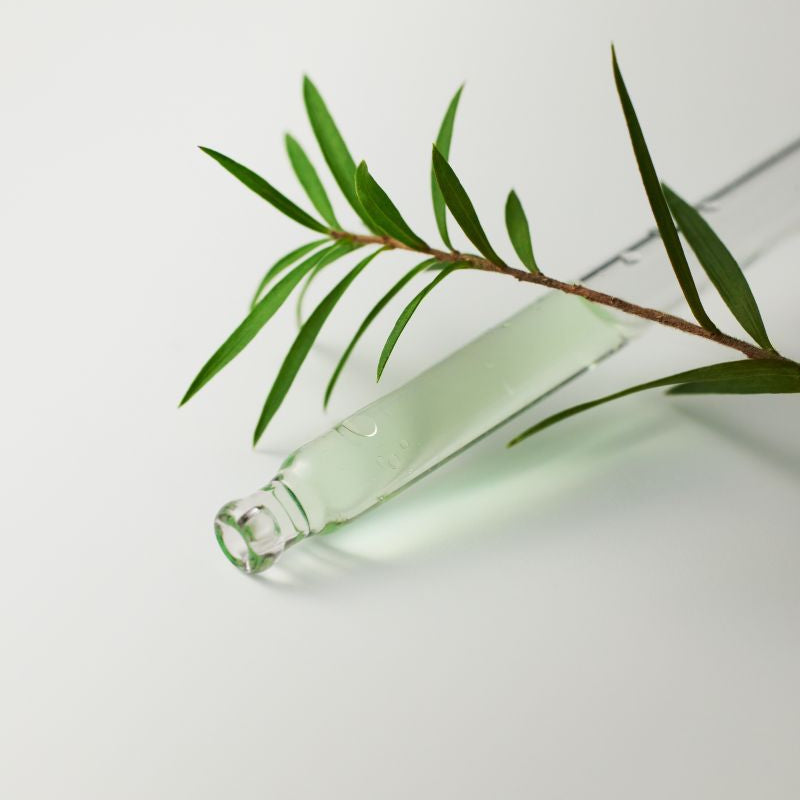 Some By Mi AHA BHA PHA 30 Days Miracle Serum 50ml