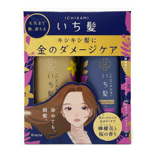 Ichikami SP/CD Pair Set 480ml+480g