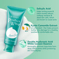 Load image into Gallery viewer, Shiseido Senka Perfect Whip Acne Care 100g
