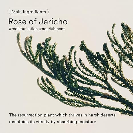 Abib Jericho Rose Creme Nutrition Tube 75ml