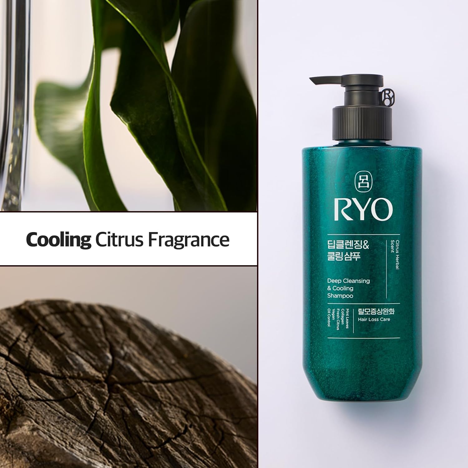 Ryo Cheonga Deep Cleansing & Cooling Shampoo