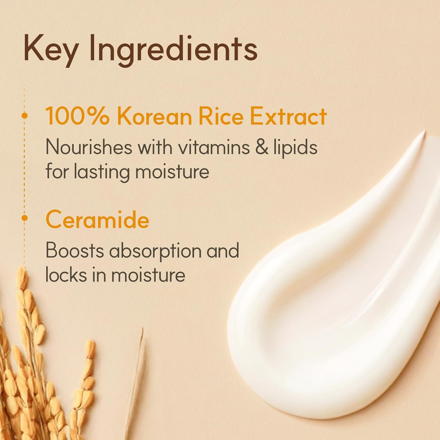The Face Shop Rice & Ceramide Moisturizing Cream 50ml