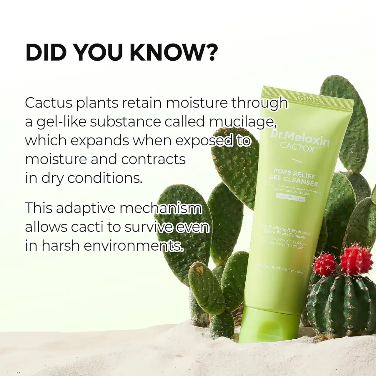 Dr.Melaxin Cactox Pore Relief Gel Cleanser 120ml