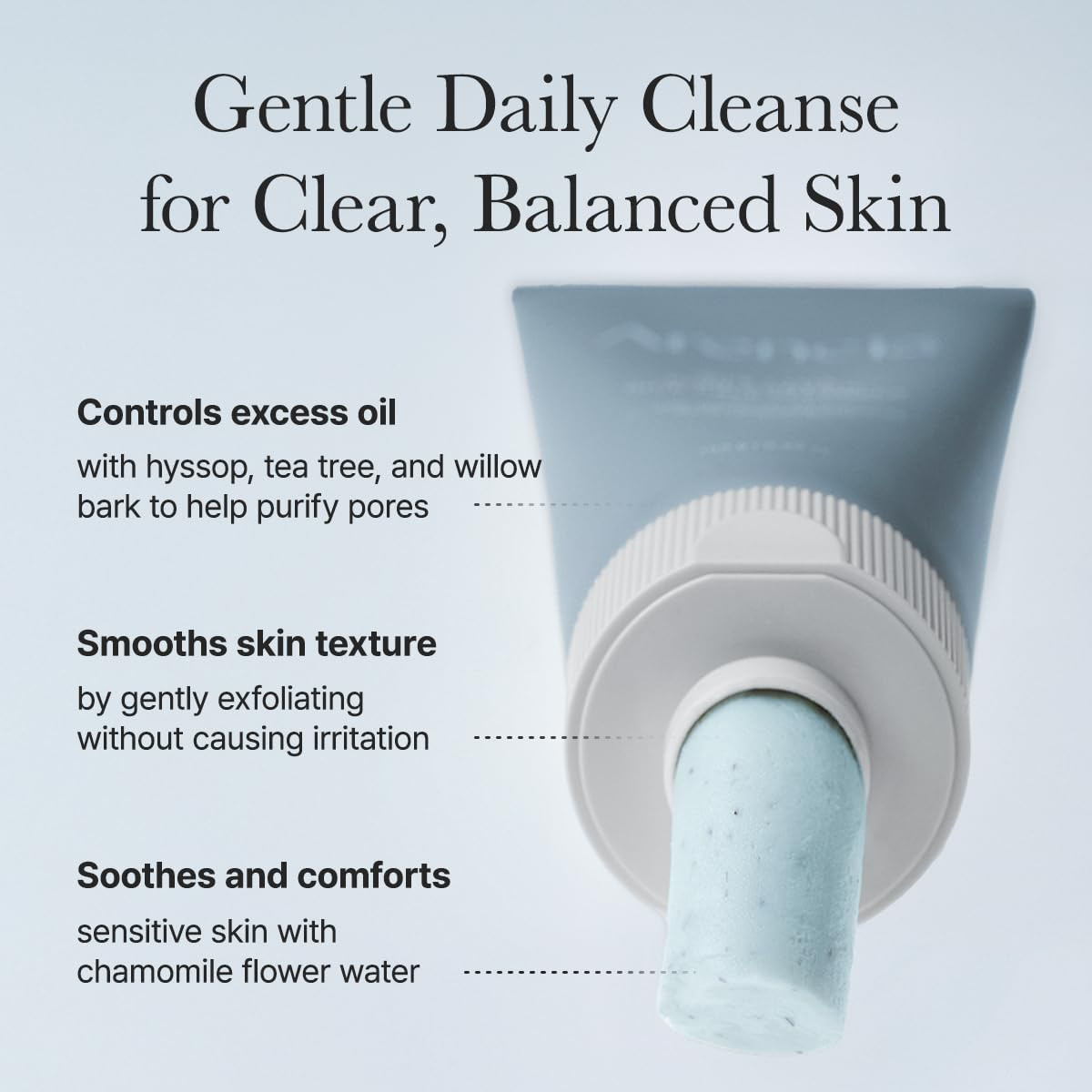 Arencia Hyssop Sebum Control Rice Cake Cleanser 150g