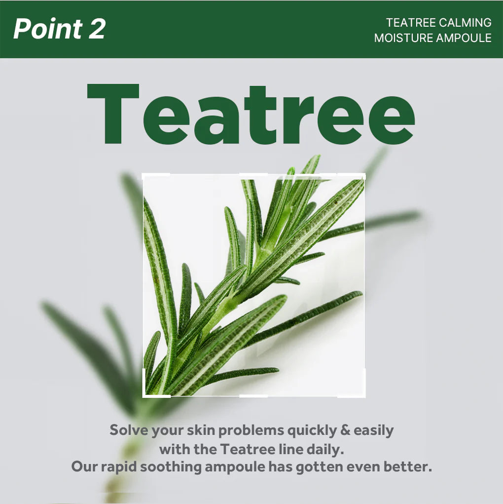 Mediheal Teatree Calming Moisture Ampoule