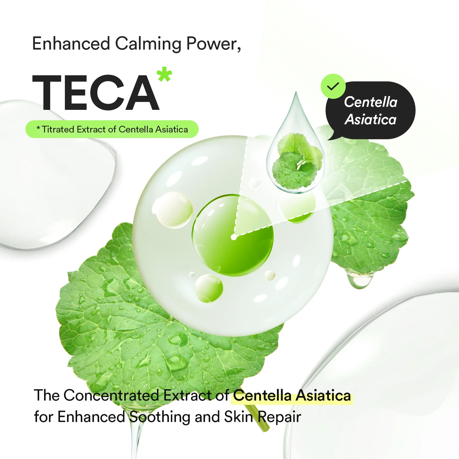 Abib Heartleaf Teca Capsule Serum Calming Drop 50ml