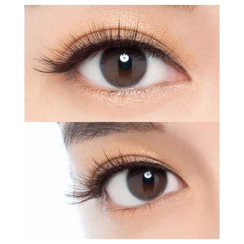 Miche Bloomin Eyelash No. 12 Sweet Brown