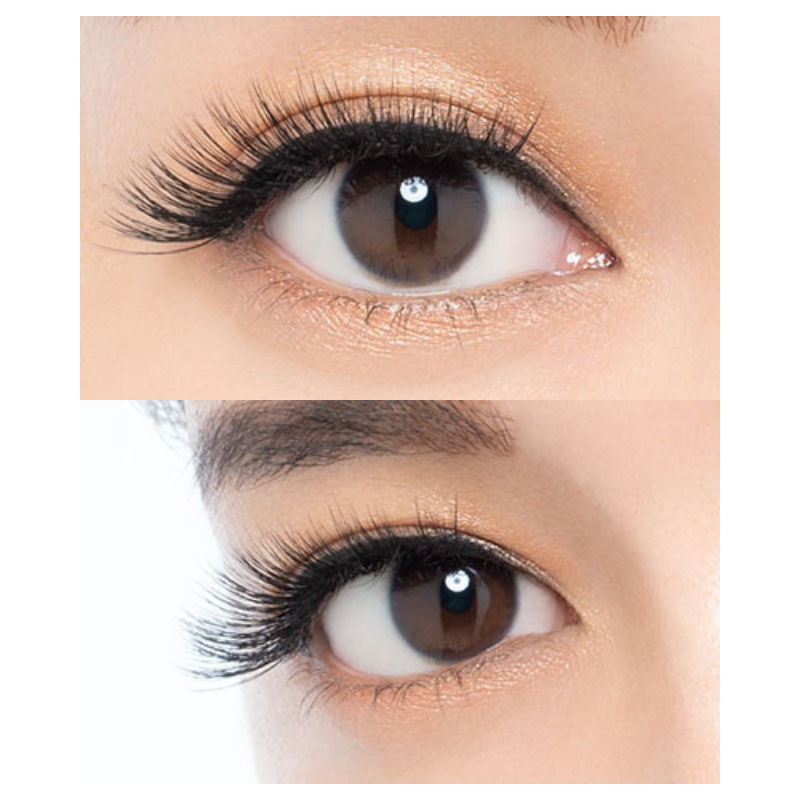 Miche Bloomin Eyelash No. 34 Glamorous Extension