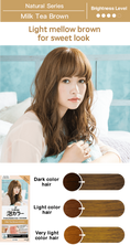 Load image into Gallery viewer, Kao Liese Prettia Bubble Hair Color (Milk Tea Brown)
