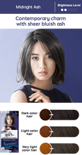 Load image into Gallery viewer, Kao Liese Prettia Bubble Hair Color ( Midnight Ash)
