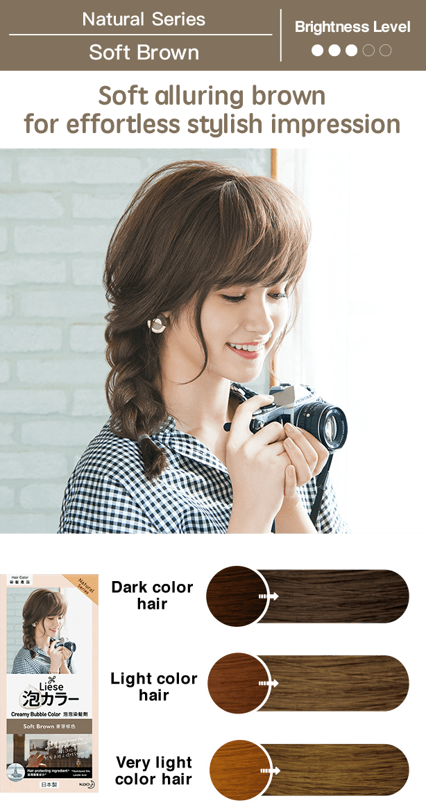 Kao Liese Prettia Bubble Hair Color (Airy Brown)