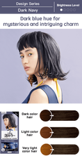 Load image into Gallery viewer, Kao Liese Prettia Bubble Hair Color (Dark Navy)
