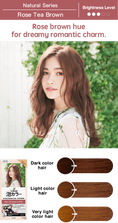 Load image into Gallery viewer, Kao Liese Prettia Bubble Hair Color (Provence Rose - Tea Brown)
