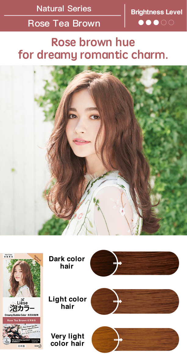 Kao Liese Prettia Bubble Hair Color (Provence Rose - Tea Brown)