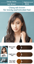 Load image into Gallery viewer, Kao Liese Prettia Bubble Hair Color (New York Ash)
