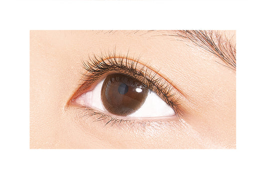 Dup Quick Extension 02 Rich