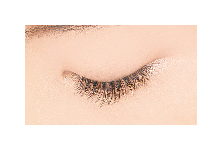 Dup Quick Extension 02 Rich