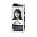 Load image into Gallery viewer, Kao Liese Prettia Bubble Hair Color (Black)
